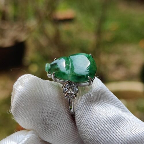 tangan memegang cincin