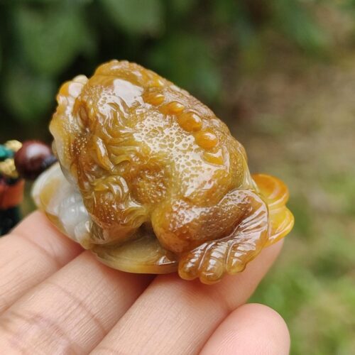 a hand holding a small frog