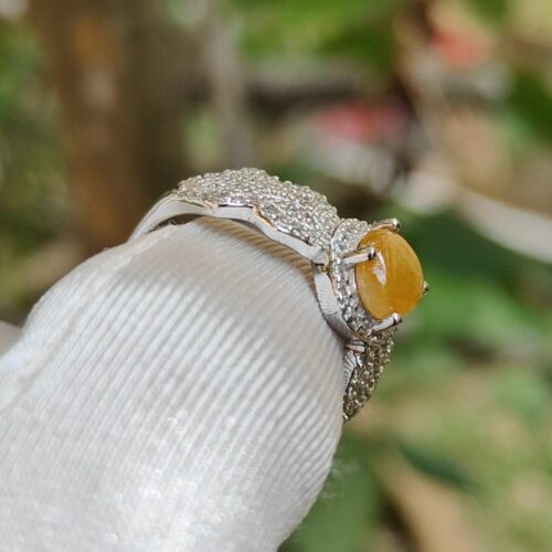 반지의 클로즈업