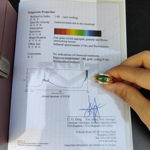 una mano sosteniendo un anillo