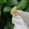 a hand holding a gold ring with a stone on it