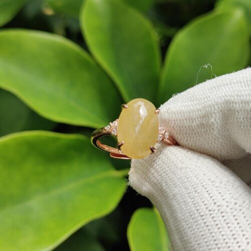 一只戴着手套的手拿着戒指