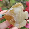 a hand holding a stone fish