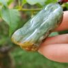 a hand holding a green and brown object
