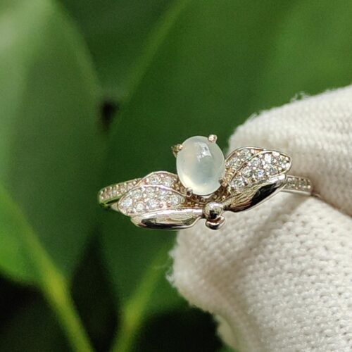 cận cảnh một chiếc nhẫn