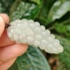 a hand holding a white grape