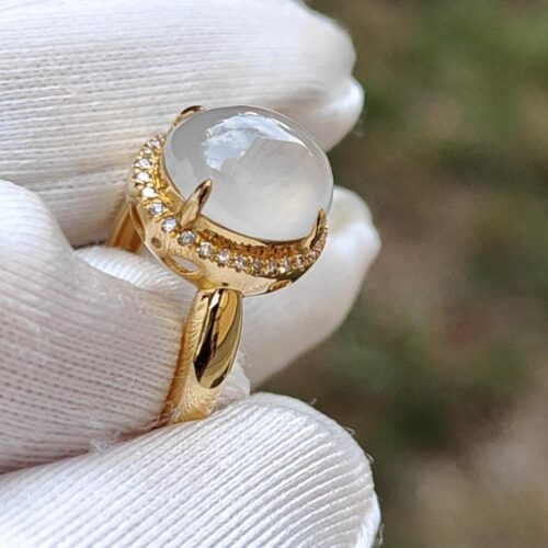 கையுறை அணிந்த ஒரு கை மோதிரத்தை வைத்திருக்கும்