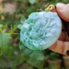 a hand holding a jade pendant