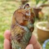 a hand holding a stone object