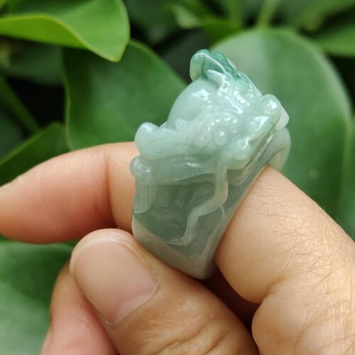 một bàn tay cầm một chiếc nhẫn ngọc bích