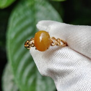 a hand holding a ring