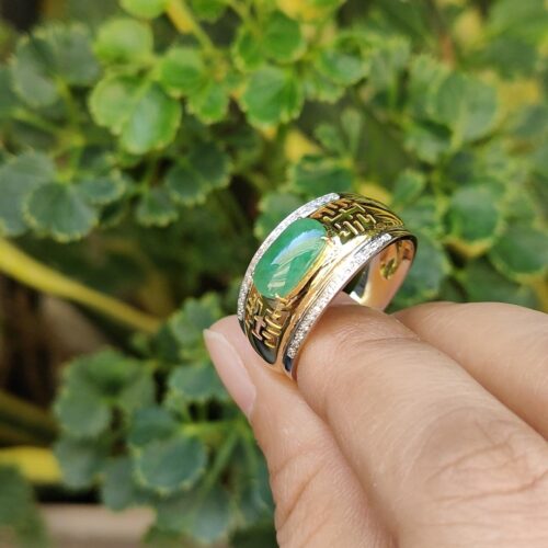 una mano sosteniendo un anillo