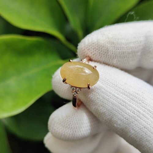 一只戴着手套的手拿着戒指