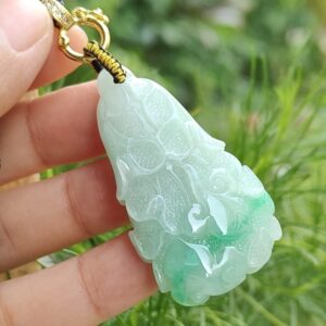 White with green patches Ruyi Cabbage