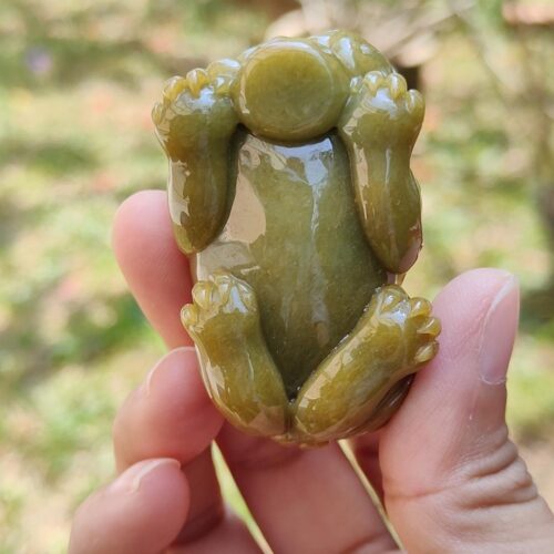 a hand holding a small green frog