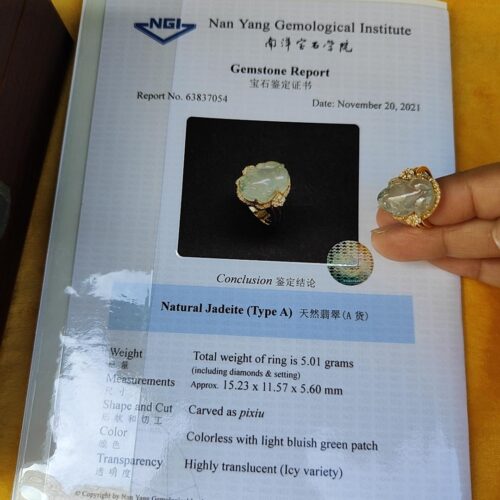 a hand holding a ring with a piece of gold on it