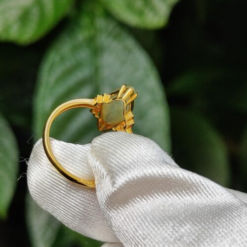 a hand holding a gold ring