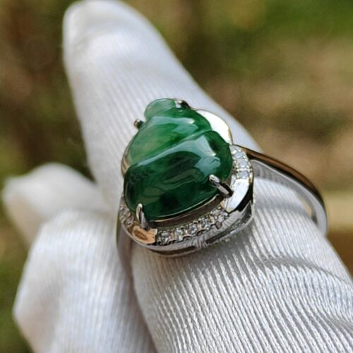 jari dengan cincin di atasnya