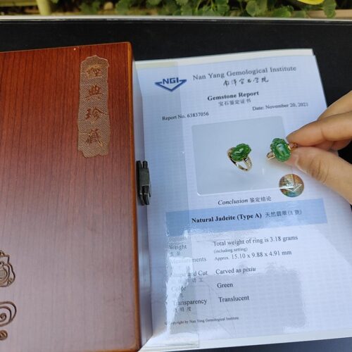 a hand holding a ring with a box and papers