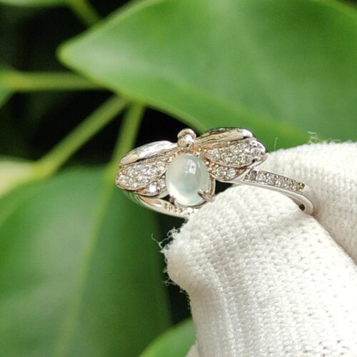 một bàn tay cầm một chiếc nhẫn