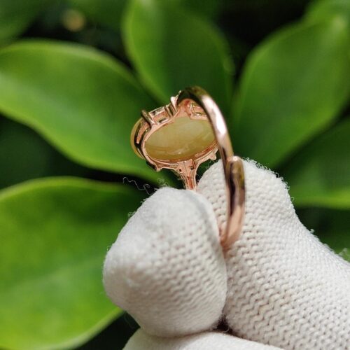 a gloved hand holding a ring