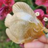 a hand holding a stone fish