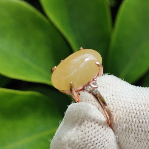 a hand in a glove holding a ring