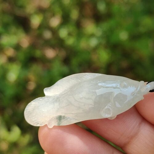 a hand holding a small fish