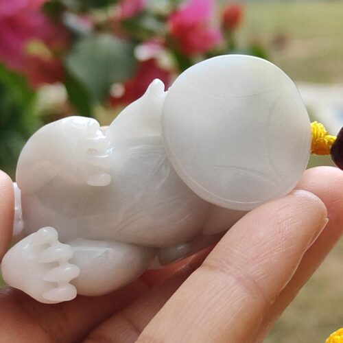 a hand holding a small white animal