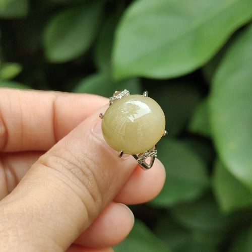 a hand holding a ring