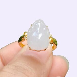 a person holding a ring