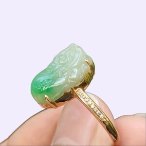 a hand holding a ring