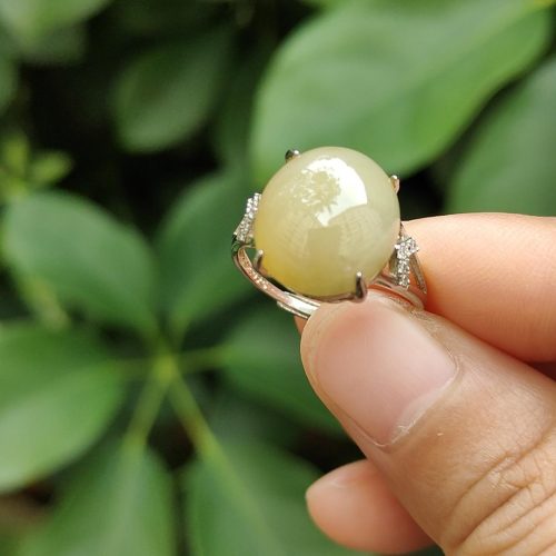 a person holding a ring