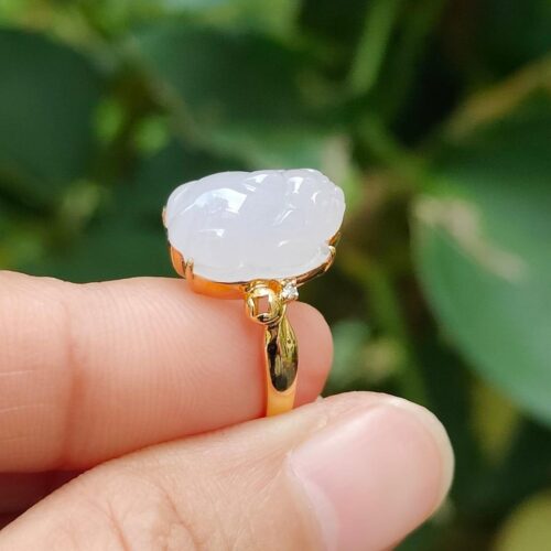 a person holding a ring