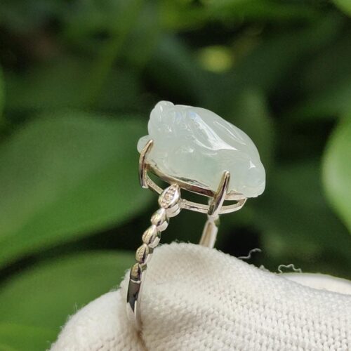 ஒரு வளையத்தின் அருகில்