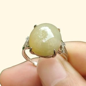 una persona sosteniendo un anillo