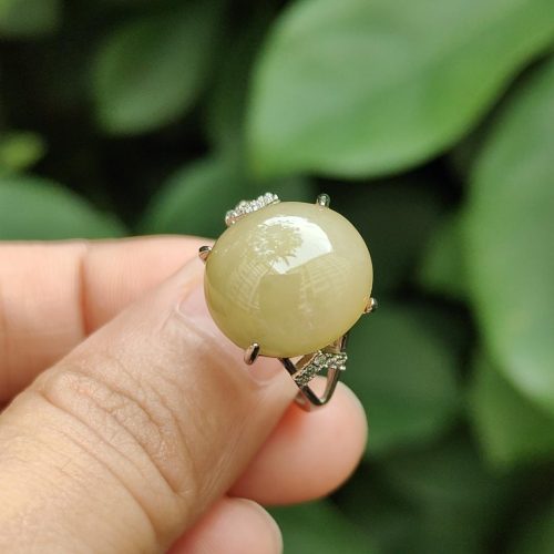 a person holding a ring