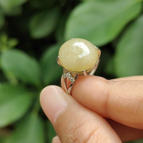 a person holding a ring