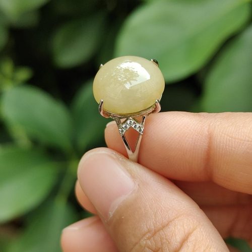 a hand holding a ring