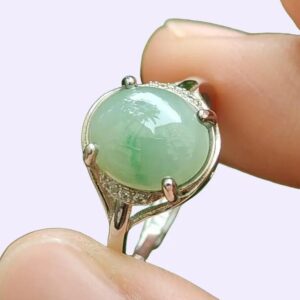 una persona sosteniendo un anillo