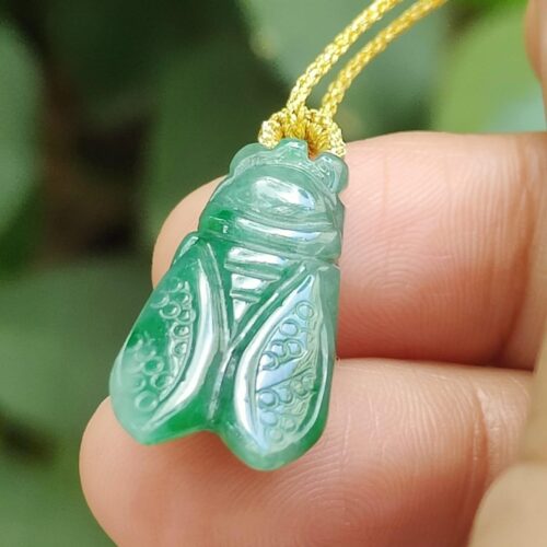 பச்சைப் பூச்சி பதக்கத்தை வைத்திருக்கும் கை - சிக்காடா