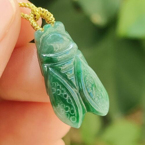 பச்சைப் பூச்சி பதக்கத்தை வைத்திருக்கும் கை - சிக்காடா