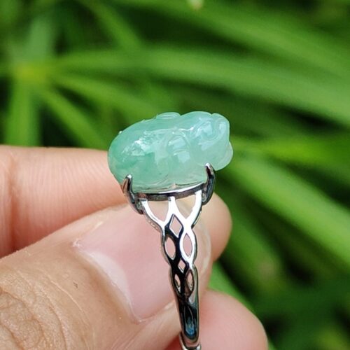 tangan memegang cincin