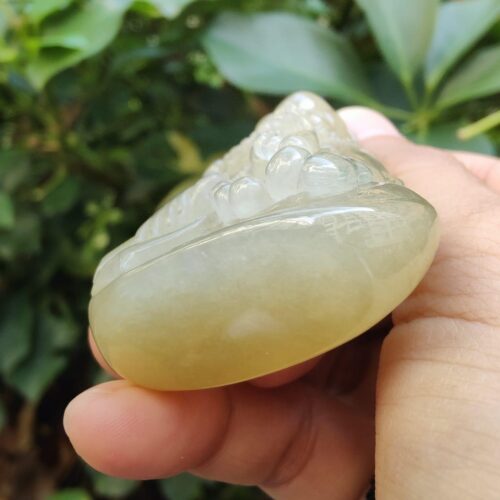 a hand holding a clear object