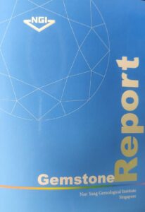 NGI Singapore Certification