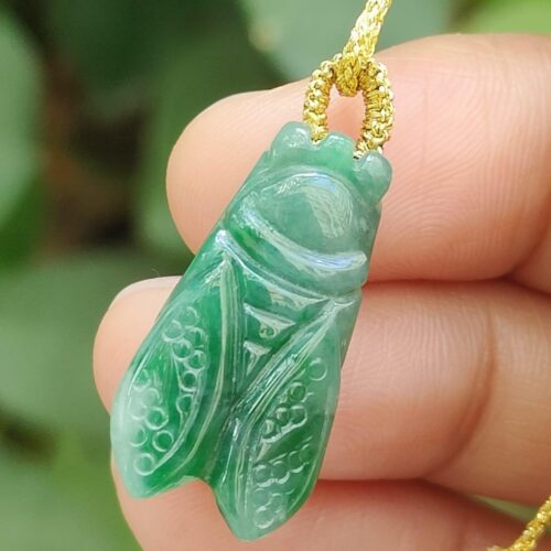 a hand holding a necklace - Cicada