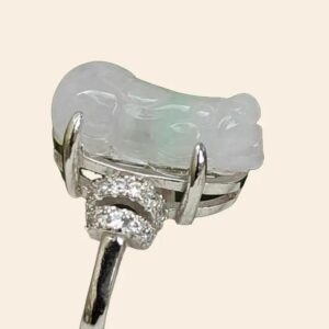 a close up of a ring