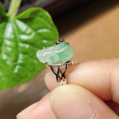 un doigt tenant une bague