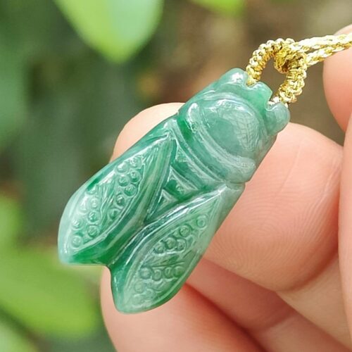 பச்சைப் பூச்சி பதக்கத்தை வைத்திருக்கும் கை - சிக்காடா