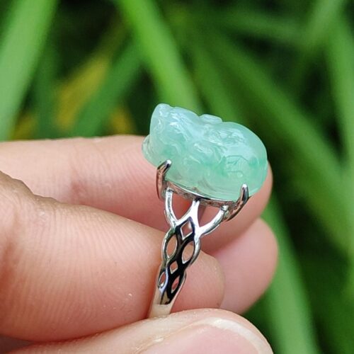 tangan memegang cincin